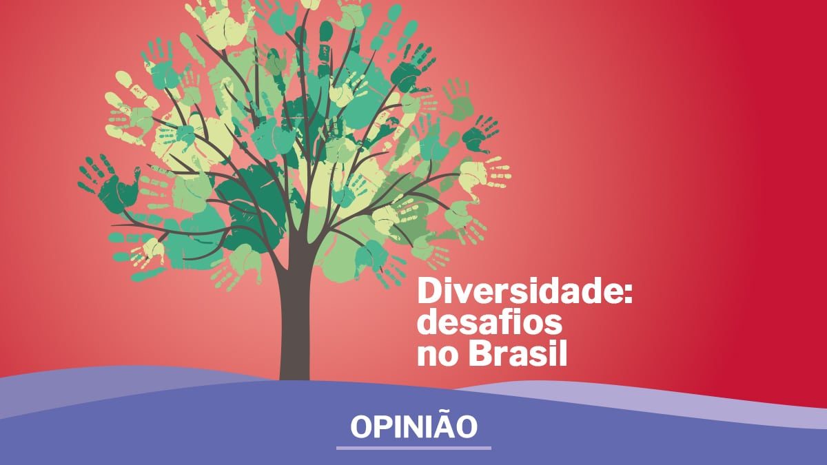 Diversidade Desafios no Brasil